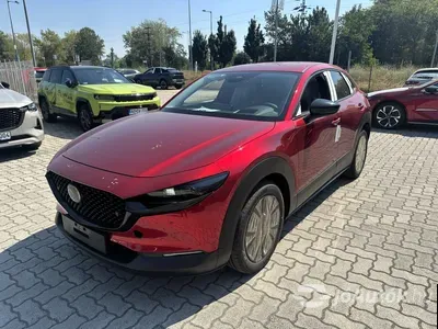 autó főképe